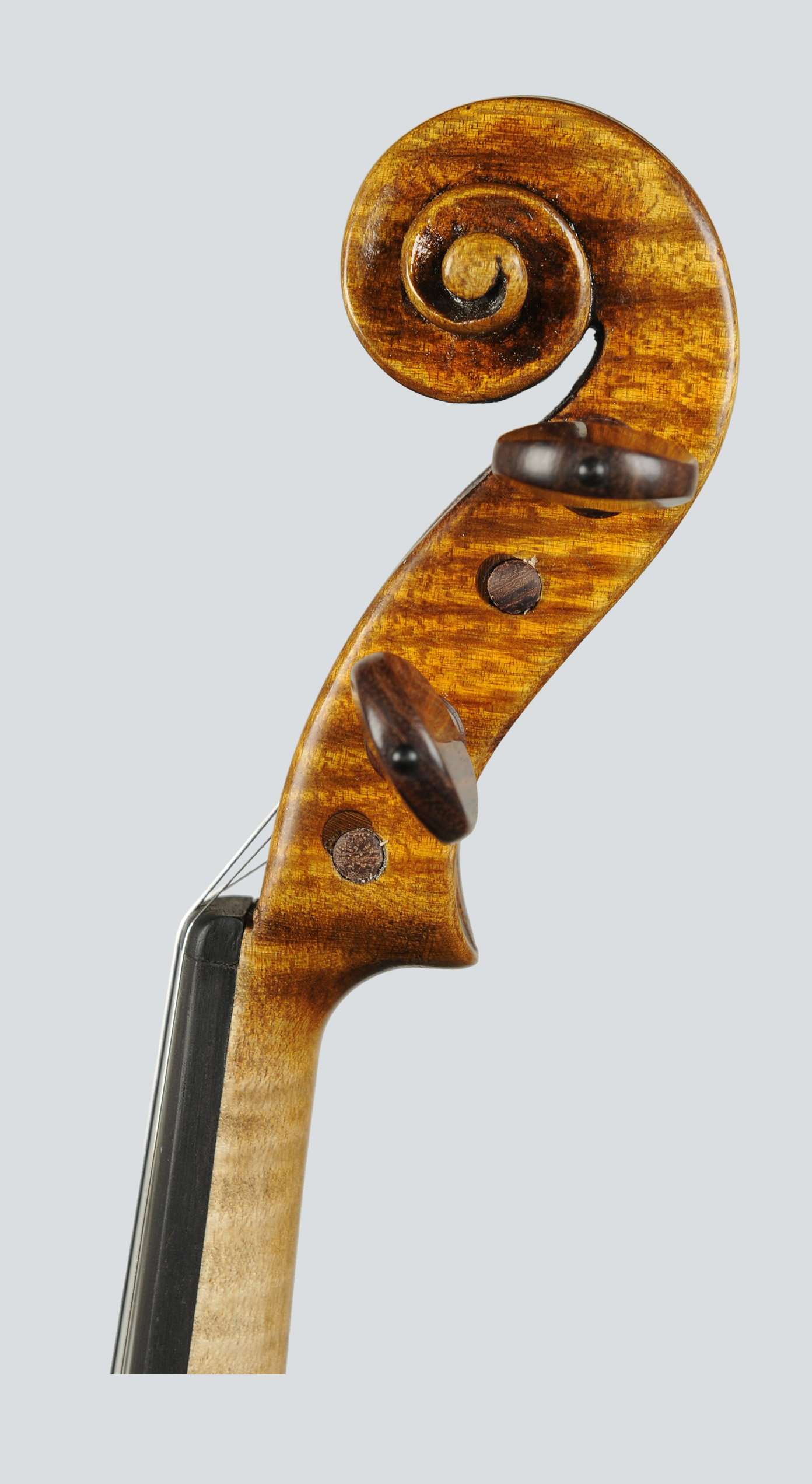 Violino particolare del modello Guadagnini